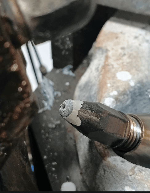 Assembly & validation